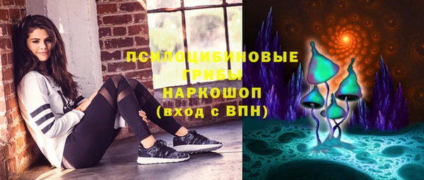 гидра Слюдянка